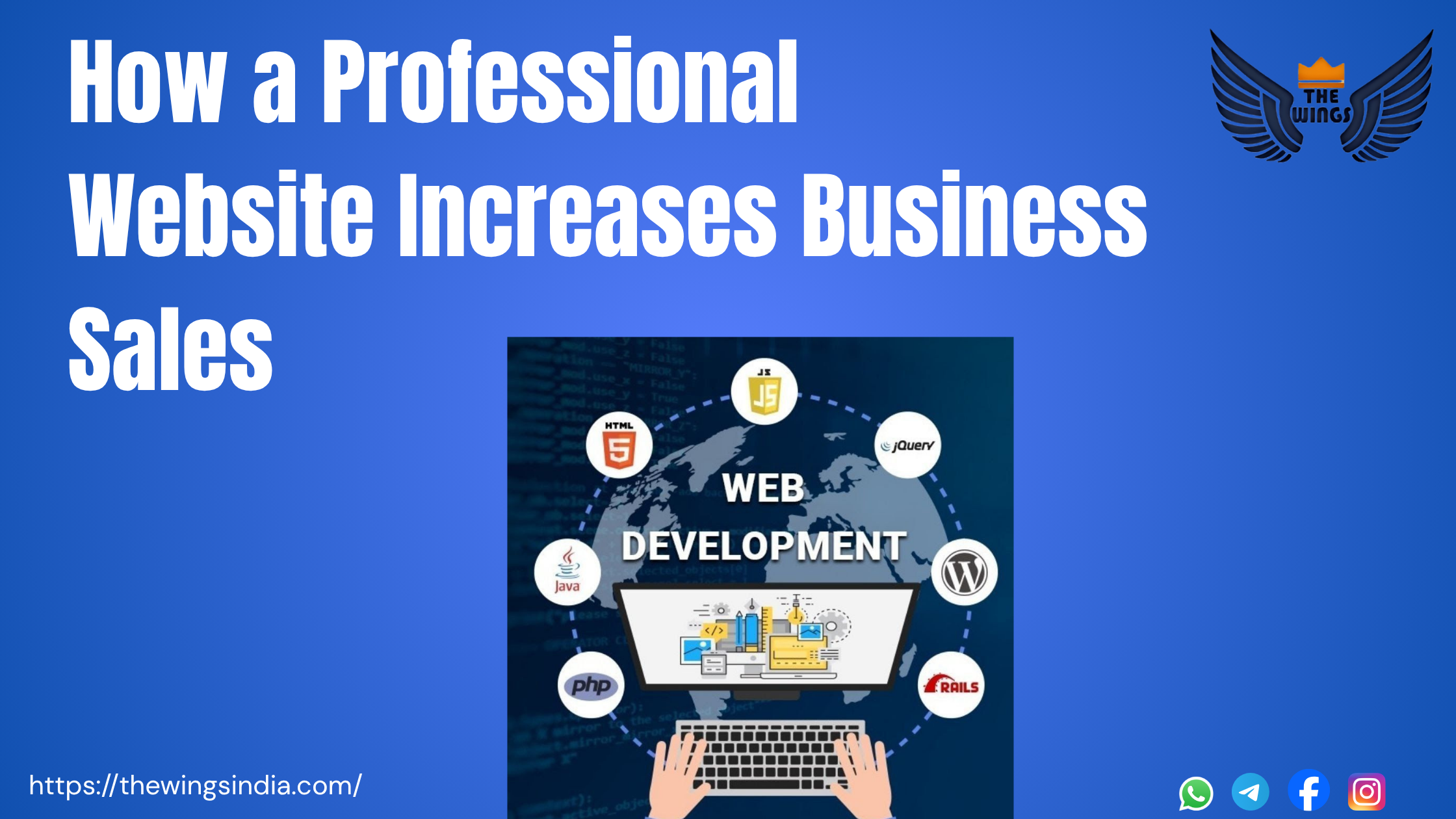 professional website increases business sales